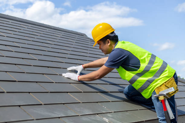 Best Roof Ventilation Installation  in Pequot Lakes, MN