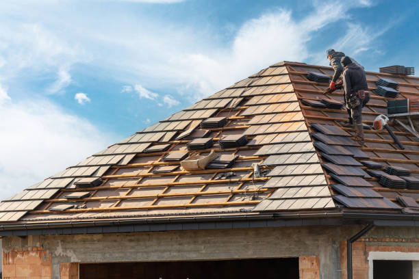 Best Gutter Installation and Repair  in Pequot Lakes, MN